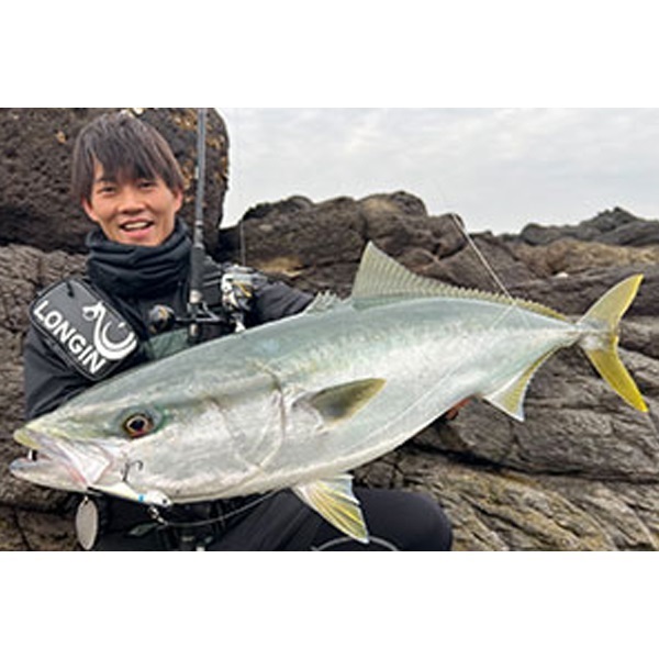 ＩＲＩＫＯ　２０ｇ